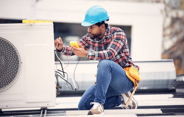 Best Electric Panel Repair  in Victoria, VA