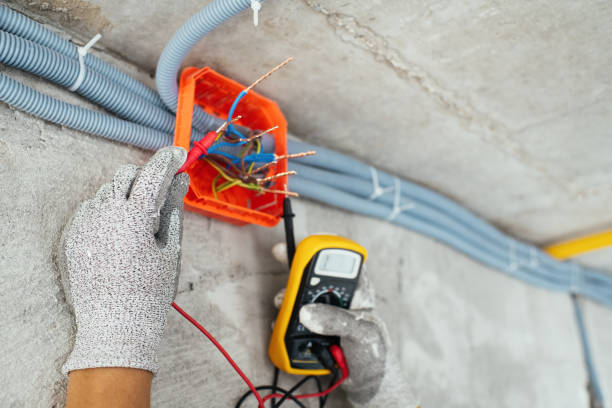 Best Electrician for Home Renovation  in Victoria, VA